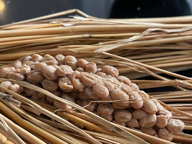 天然納豆　納豆菌