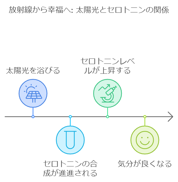 太陽光とセロトニン