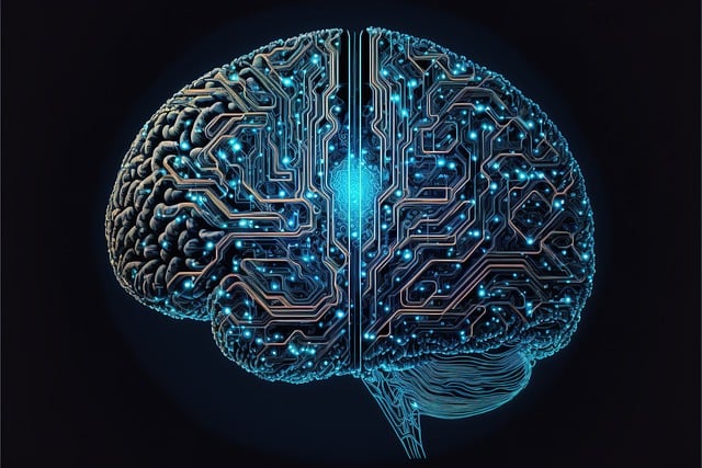 Brain chemicals